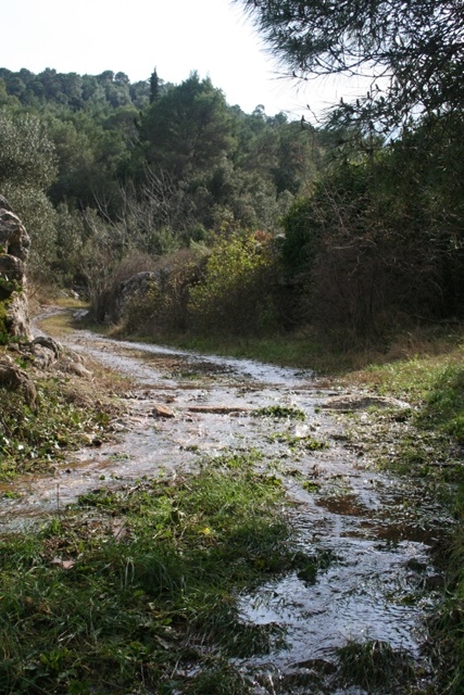 2015 - water in the stream bed